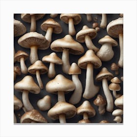 Many Mushrooms On A Black Background 7 Canvas Print