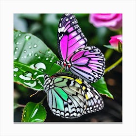 Butterfly In The Garden Canvas Print