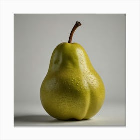 Pear Stock Videos & Royalty-Free Footage Canvas Print