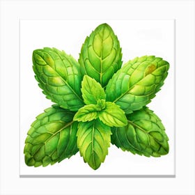 Watercolor Mint Leaves 1 Canvas Print