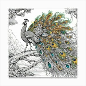 Line Art peacock 3 Canvas Print