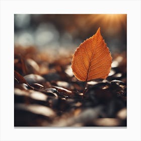 Autumn Leaf On The Ground 1 Canvas Print