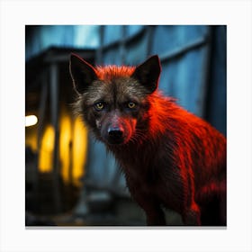 Wolf In The Dark Canvas Print