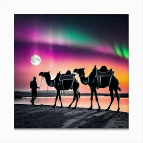 Aurora Borealis 171 Canvas Print