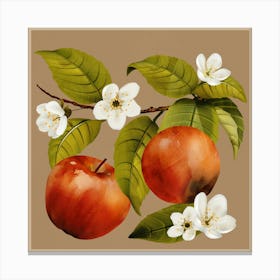 Apples Botanical Art Canvas Print