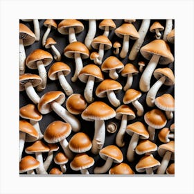 Mushrooms On A Black Background Canvas Print