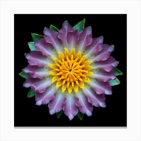 Purple Lotus Flower Canvas Print