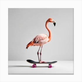 Flamingo On Skateboard Canvas Print