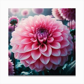 Large pink Dahlia flower 3 Canvas Print