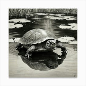 Turtle In Water Canvas Print