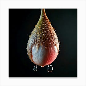 Firefly Hyper Realistic Sweet Tear On A Dark Background 16092 Canvas Print