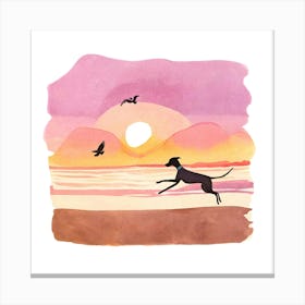 Whippet / Greyhound Dog Playing on the Beach Canvas Print