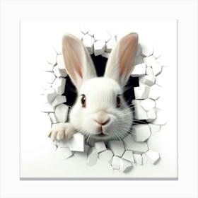 Rabbit Peeking Through A Hole 11 Canvas Print