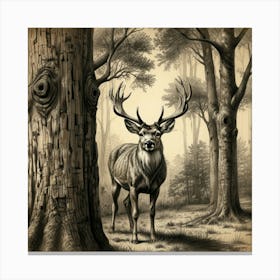 Deer In The Woods 15 Canvas Print