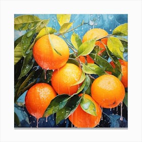 Oranges On A Branch Canvas Print