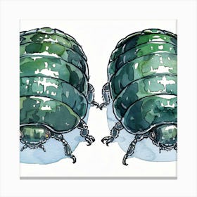 Beetle 6 Canvas Print