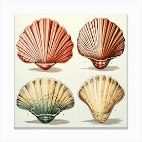 Vintage Seashells 3 Canvas Print