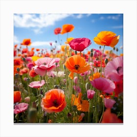 Poppy 2 Canvas Print