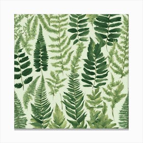 Ferns 20 Canvas Print