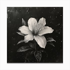 Oneeline42 A Rare Singularity Starflower Bloom In Heartbreak 1 Canvas Print