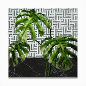 Monstera Leaves on Black Marble and Tiles Canvas Print