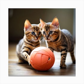 Bengal Kittens Playing With Ball Canvas Print