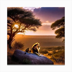 Lion At Sunset 7 Canvas Print