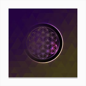 Geometric Neon Glyph on Jewel Tone Triangle Pattern 347 Canvas Print