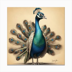 Peacock 46 Canvas Print