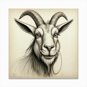 Goat Head 27 Canvas Print