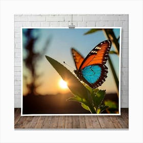 Butterfly At Sunset Canvas Print