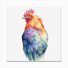 Watercolor Rooster 1 Leinwandbilder