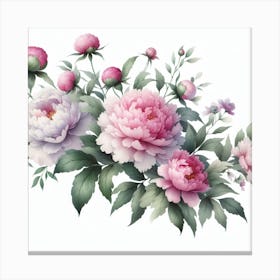 Peonies 1 Canvas Print