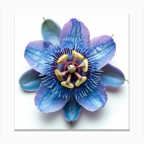 Passion Flower Leinwandbild