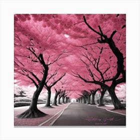 Pink Cherry Blossoms 1 Canvas Print