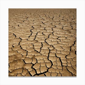 Dry Desert 1 Canvas Print