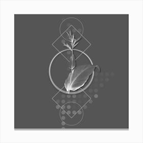 Vintage Indian Shot Botanical with Line Motif and Dot Pattern in Ghost Gray Canvas Print