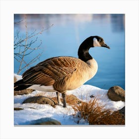 Firefly Canadian Goose Resting By The Winter Lake 57546 (2) Canvas Print