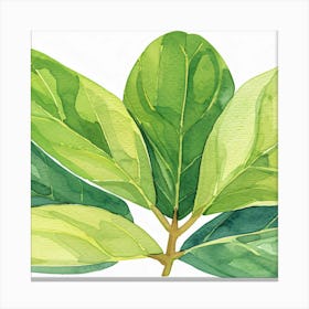 Green Leaves Watercolor Painting Canvas Print