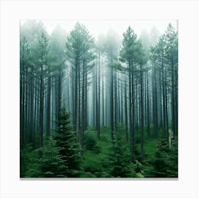 Firefly Misty Pine Forest Background 74507 Stampe su tela