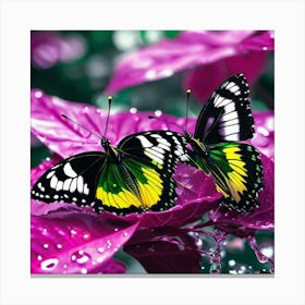 Butterflies In The Rain 2 Canvas Print