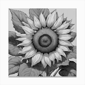 Sunflower 29 Canvas Print