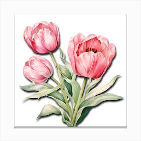 Tulip Trio Flower Art Canvas Print