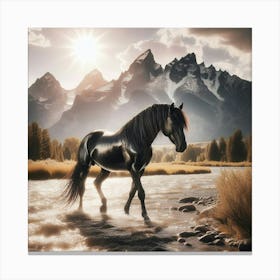 Black Stallion 1 Canvas Print