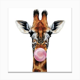 Giraffe With Bubblegum Animal Art Print  4 Canvas Print