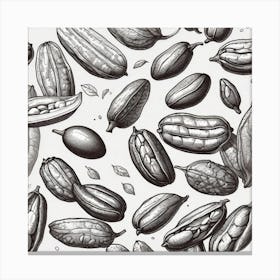 Cocoa Beans 3 Canvas Print