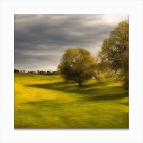 Sunny Day In A Field Canvas Print