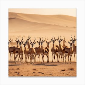 Herd Of Gazelle In The Desert 1 Canvas Print