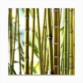 Bamboo Forest 17 Canvas Print