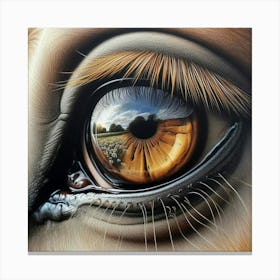 Eye Of A Horse 24 Canvas Print